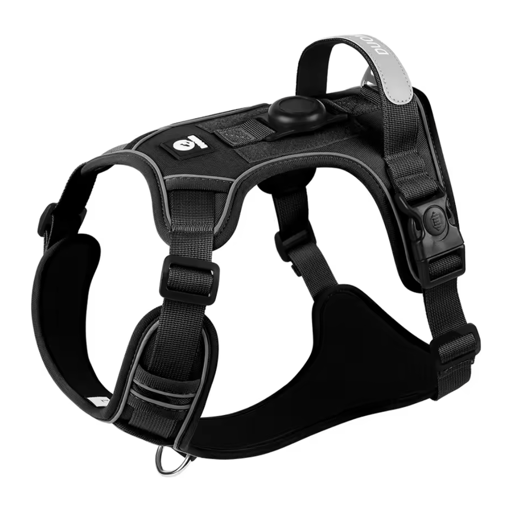 No-Pull Harness