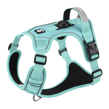 No-Pull Harness