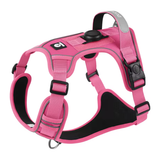 No-Pull Harness