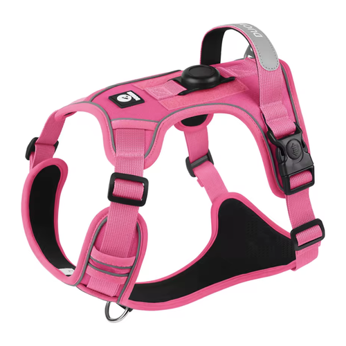 No-Pull Harness